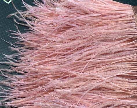 IMG-20210204-WA0088[1]5